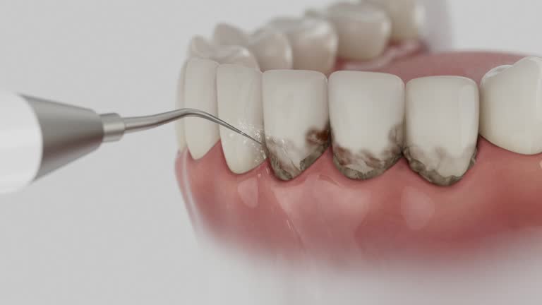 Reliable Dental contractor in Jerome, IL by Dentist Open Now